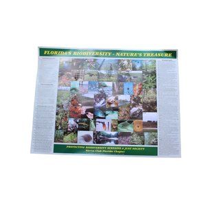 Floridas Biodiviersity Poster Natures Treasure Vintage 2001 88039